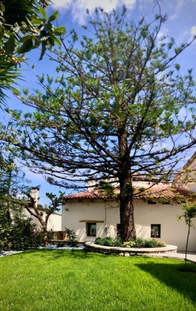 Chorio House Platanias Pensionat Vrísai Exteriör bild